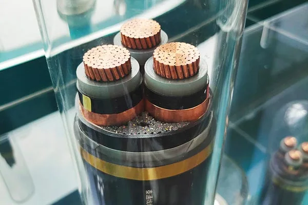 Tacaíocht Seirbhíse Cuimsitheach